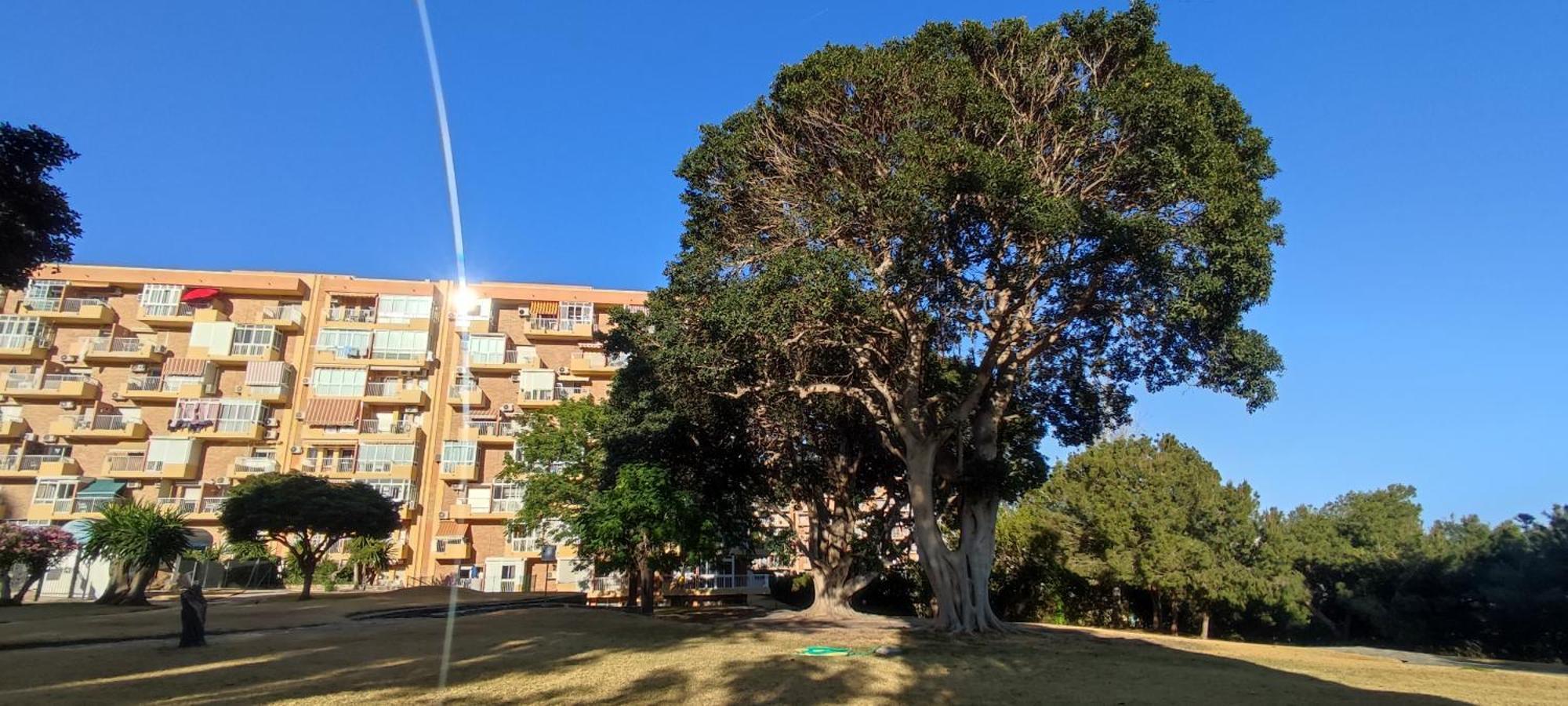 Apartamento Aguila, Arroyo De La Miel, בנאלמדנה מראה חיצוני תמונה